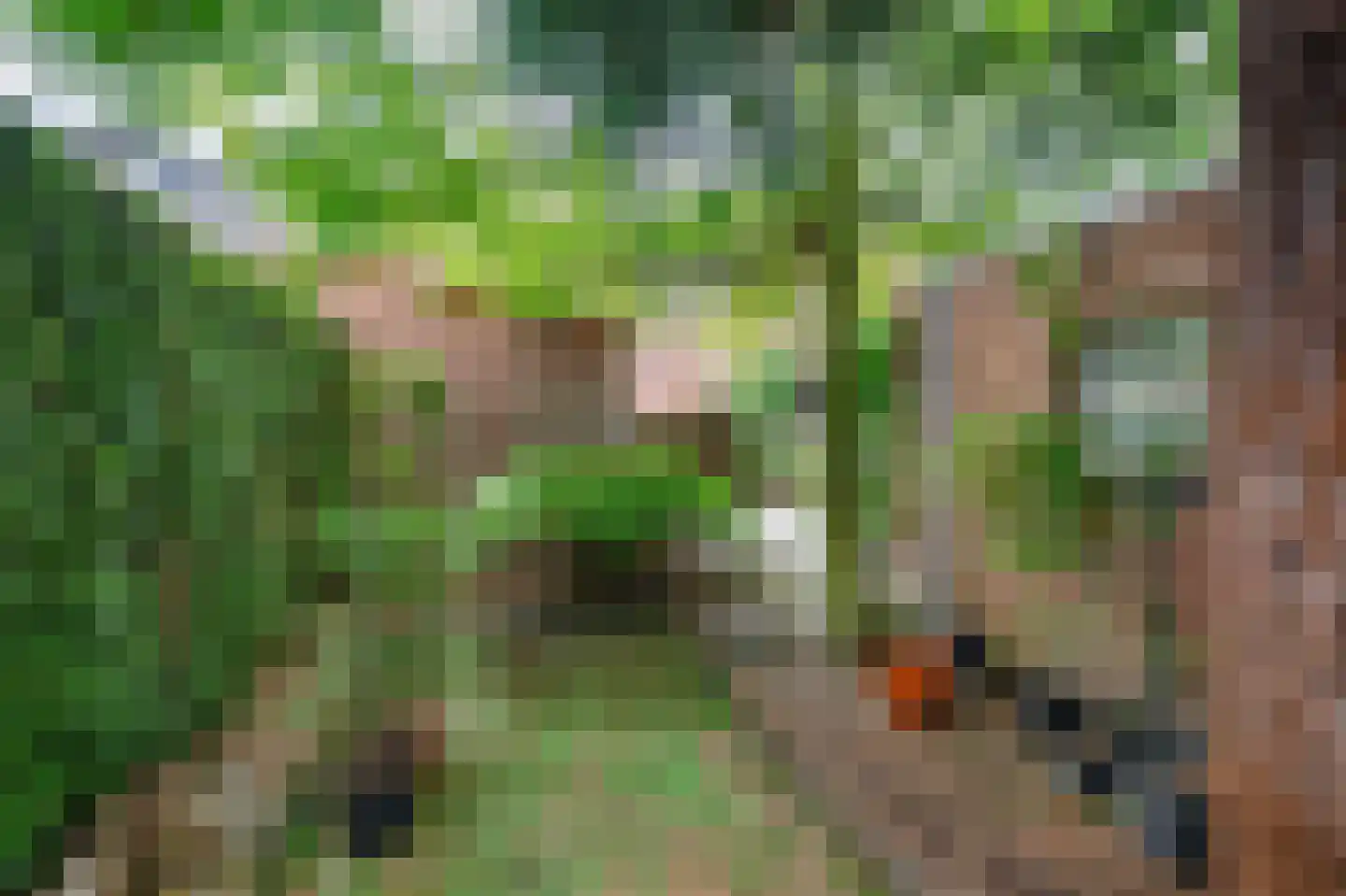 Doolhofstraat 16 Tegelen thumbnail 5
