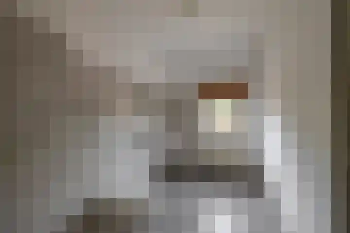 Doolhofstraat 21 Tegelen thumbnail 12