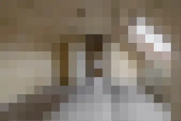 Doolhofstraat 21 Tegelen thumbnail 17