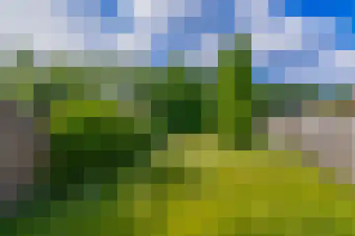 Doolhofstraat 21 Tegelen thumbnail 21