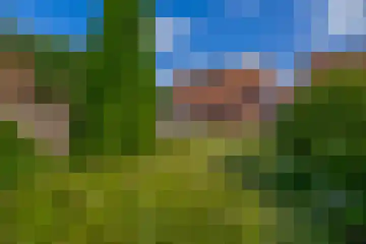 Doolhofstraat 21 Tegelen thumbnail 22