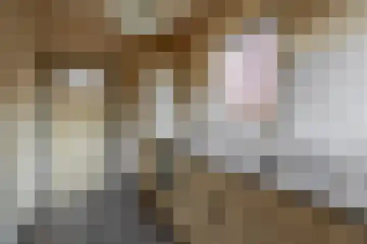 Doolhofstraat 21 Tegelen thumbnail 5