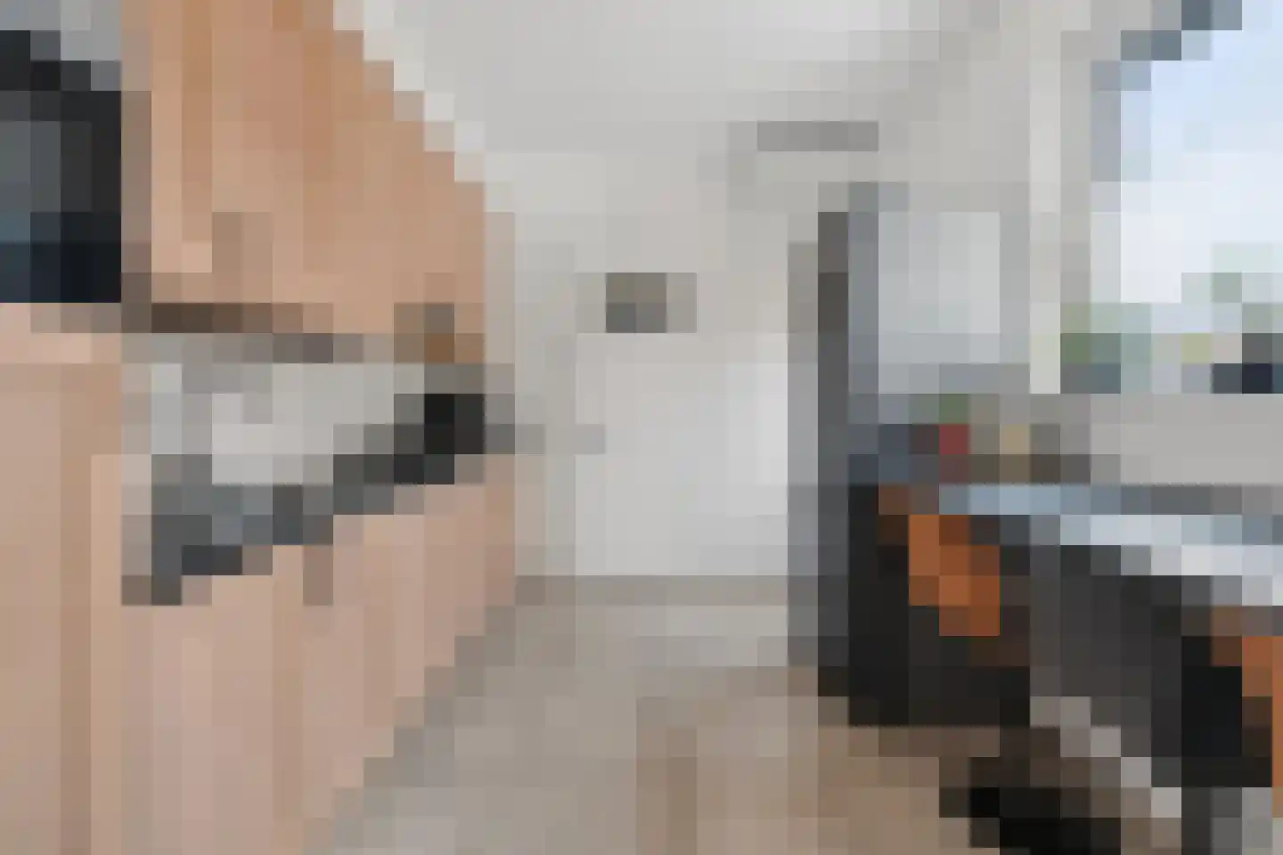 Doolhofstraat 7 Tegelen thumbnail 5