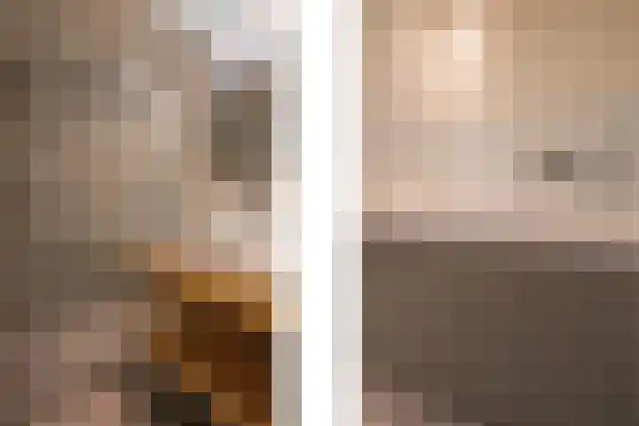Doomhoeve 44 Maastricht thumbnail 11