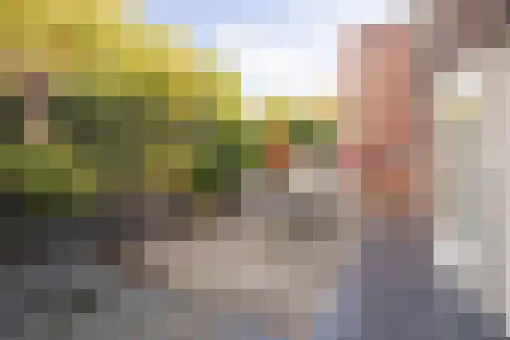 Doomhoeve 44 Maastricht thumbnail 15