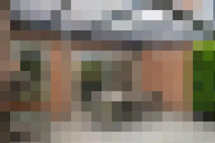 Doomhoeve 50 Maastricht thumbnail 17