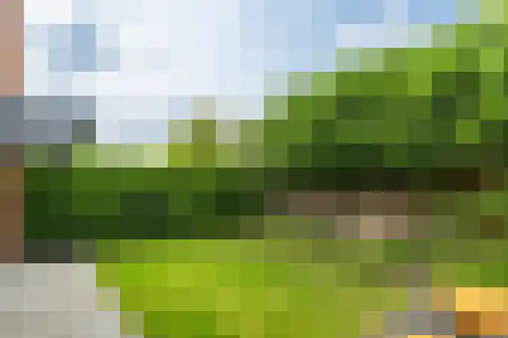 Doomhoeve 50 Maastricht thumbnail 18