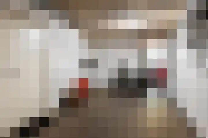 Doomhoeve 50 Maastricht thumbnail 19