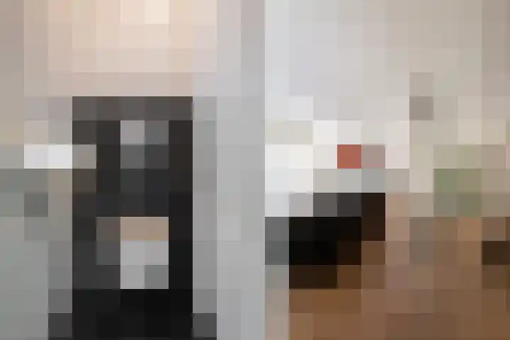 Doomhoeve 50 Maastricht thumbnail 4