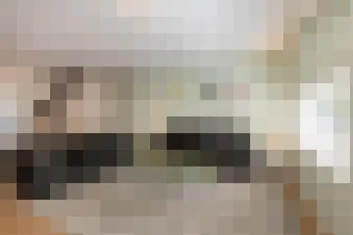 Doomhoeve 50 Maastricht thumbnail 5