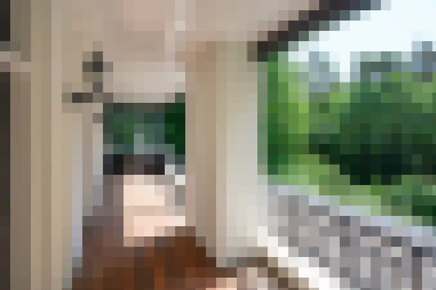 Doonweg 7 Eerbeek thumbnail 44