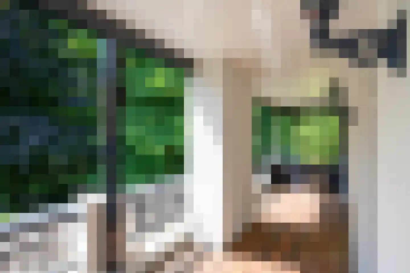 Doonweg 7 Eerbeek thumbnail 45