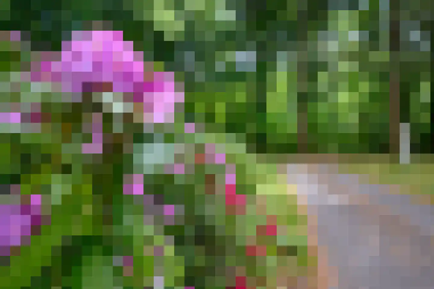 Doonweg 7 Eerbeek thumbnail 5