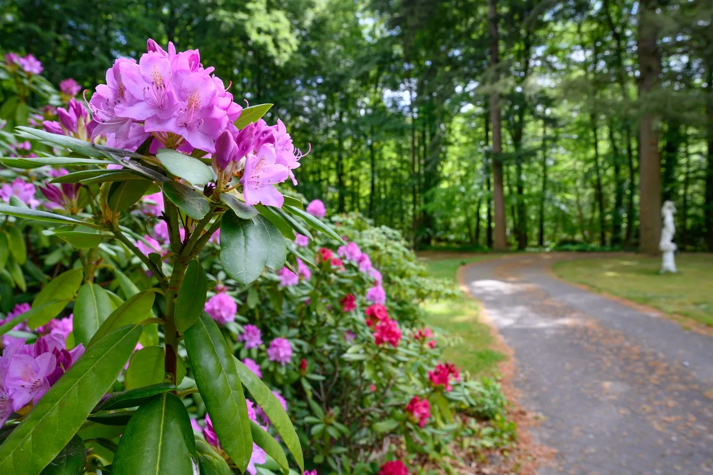 Doonweg 7 Eerbeek thumbnail 5