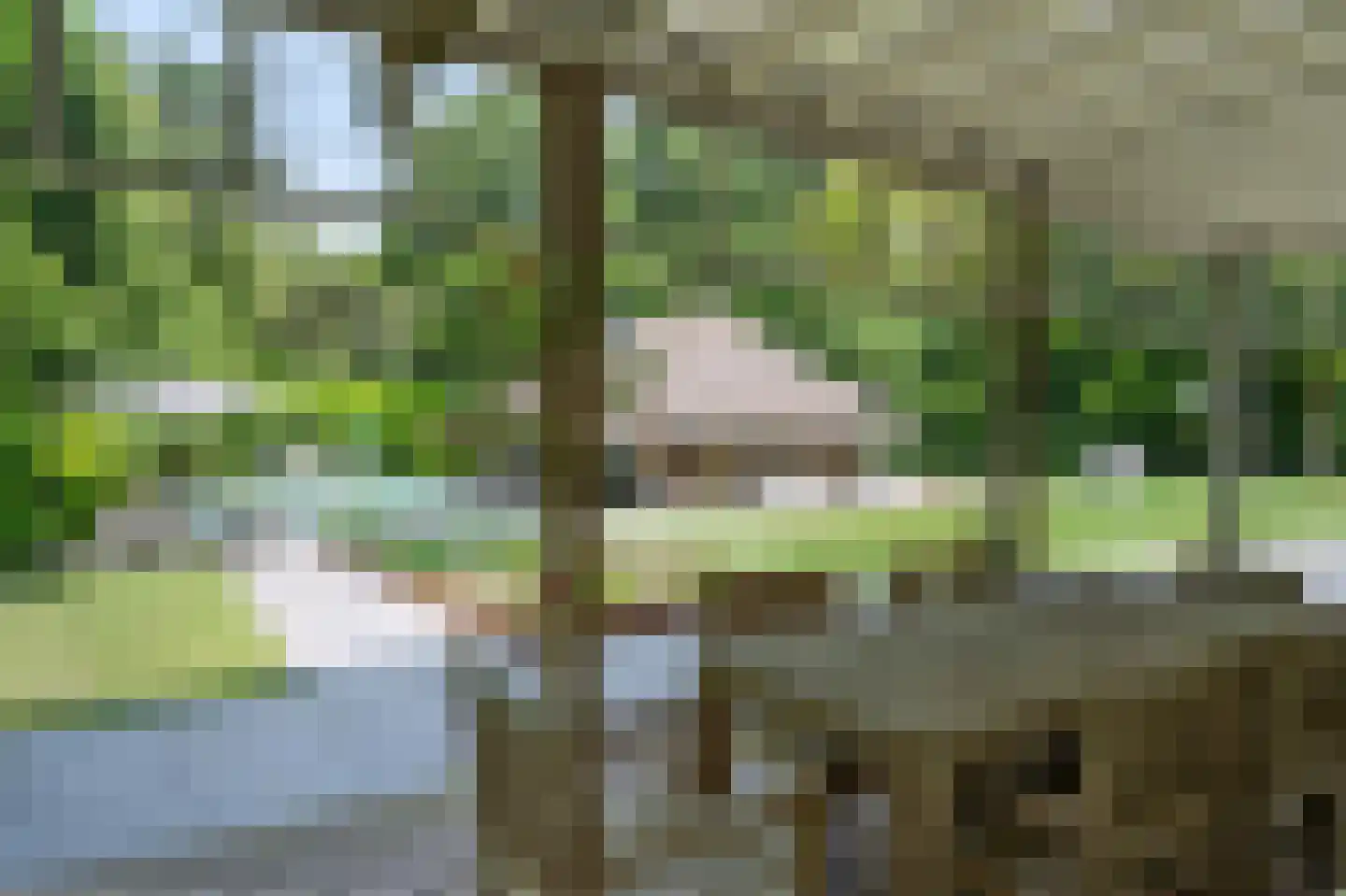 Doonweg 7 Eerbeek thumbnail 52