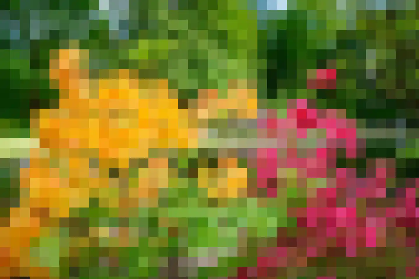 Doonweg 7 Eerbeek thumbnail 60