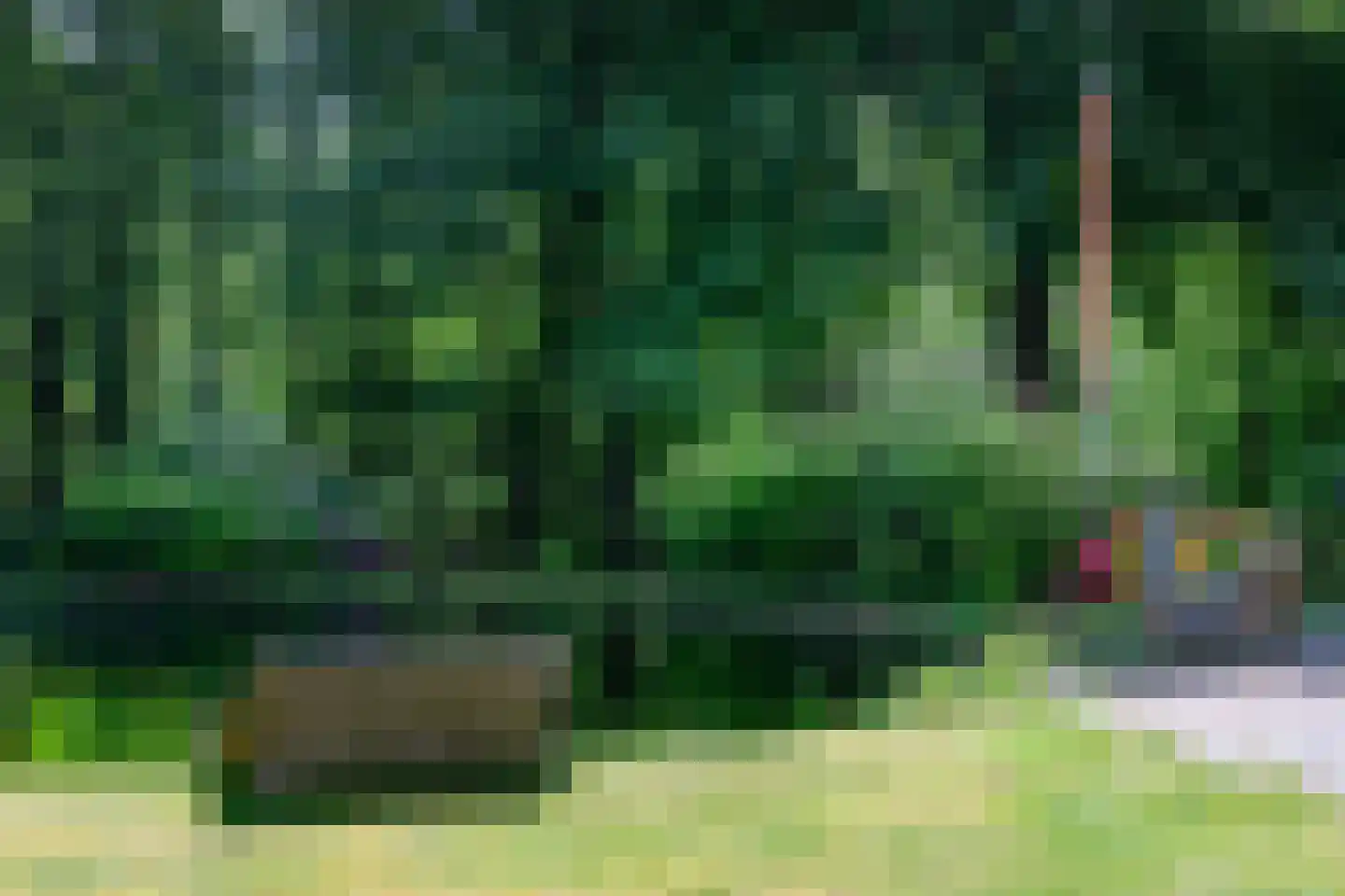 Doonweg 7 Eerbeek thumbnail 61