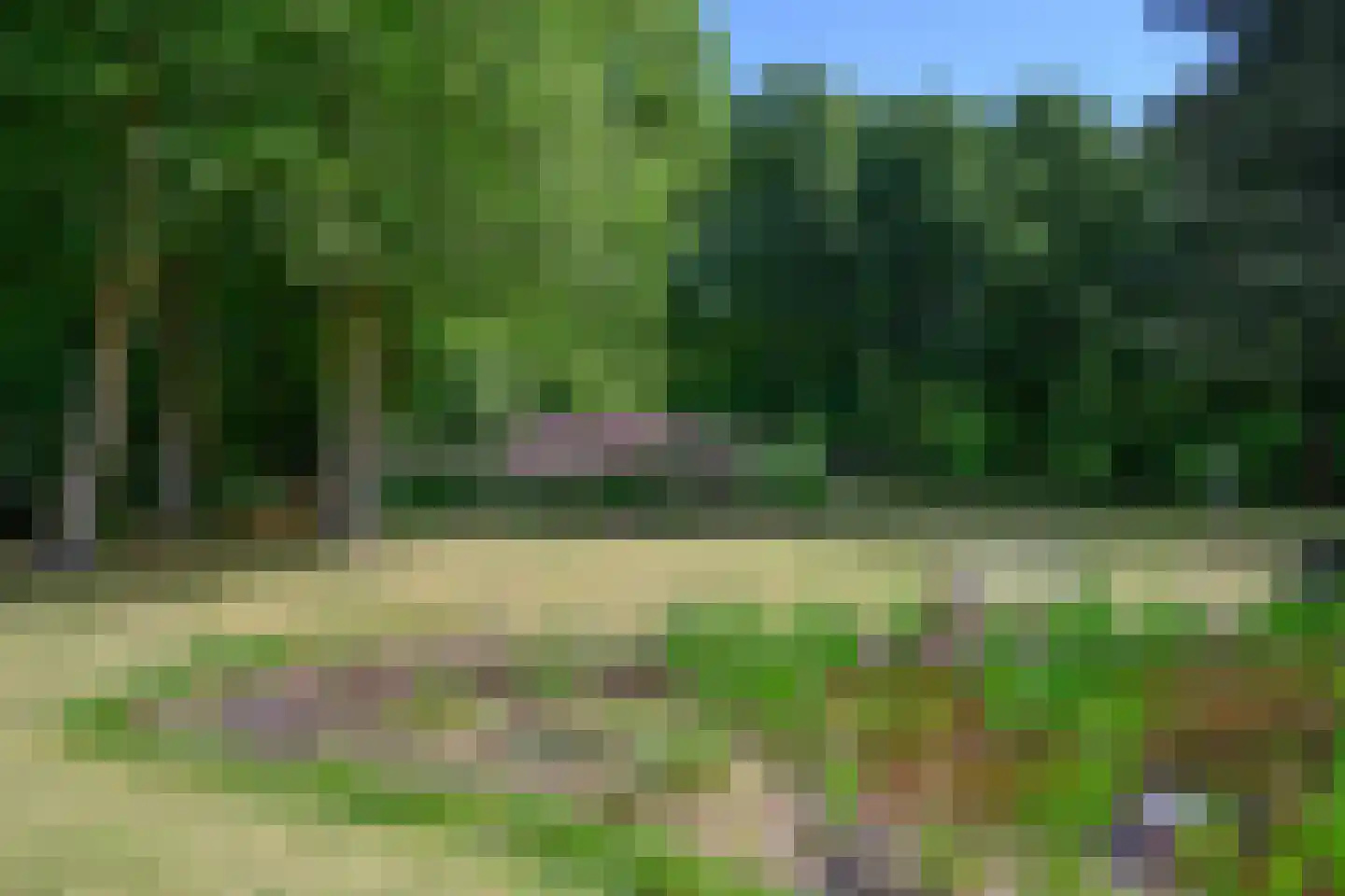 Doonweg 7 Eerbeek thumbnail 62