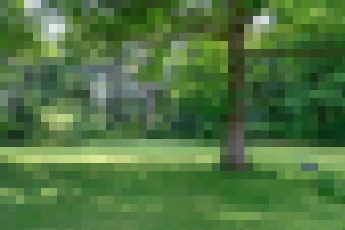 Doonweg 7 Eerbeek thumbnail 63