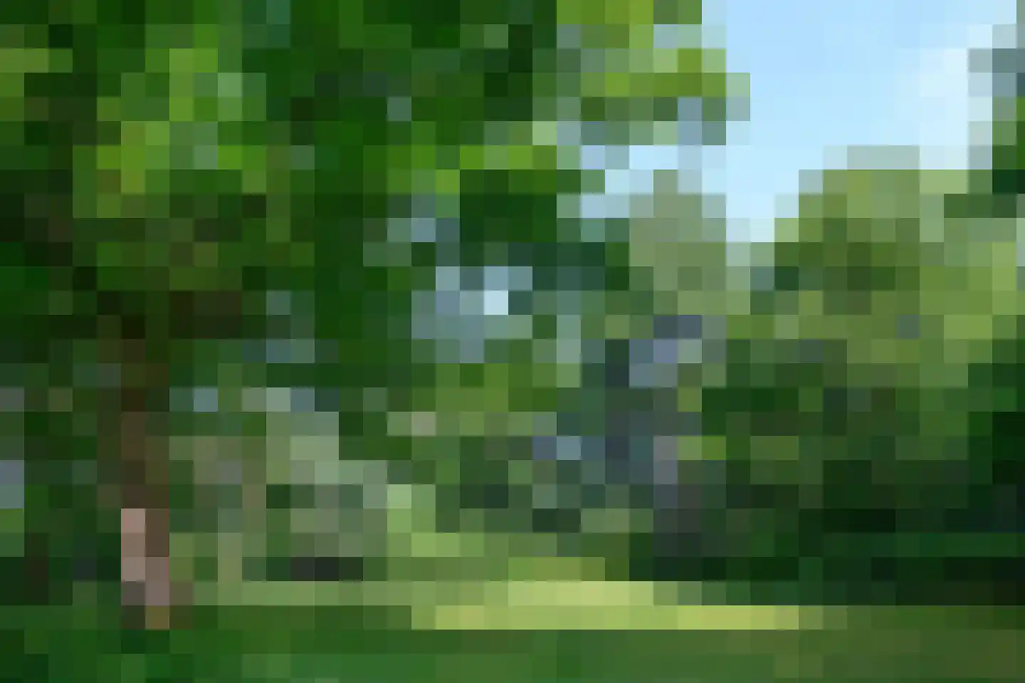 Doonweg 7 Eerbeek thumbnail 64