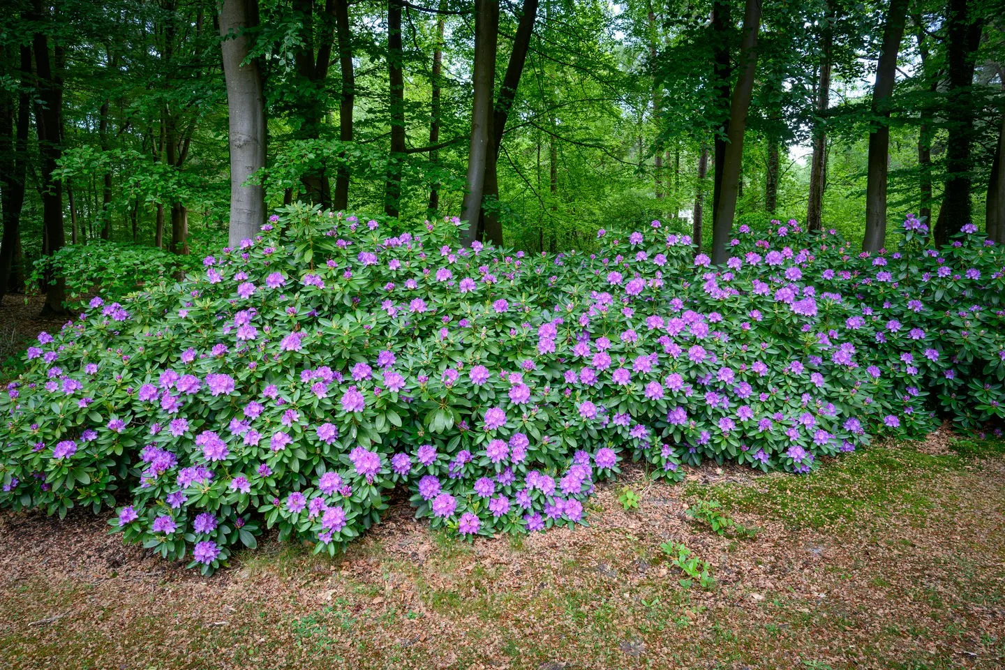 Doonweg 7 Eerbeek thumbnail 65