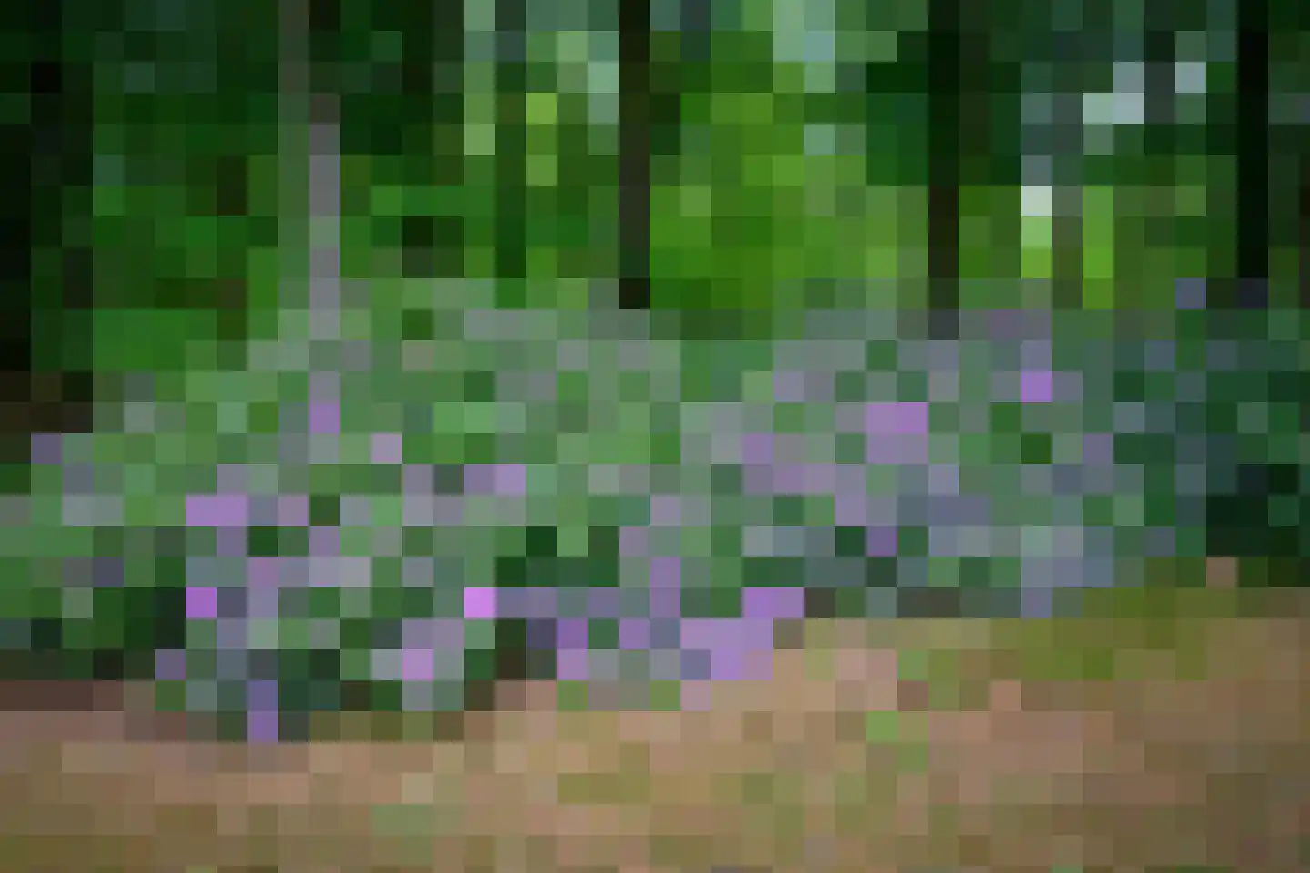 Doonweg 7 Eerbeek thumbnail 65