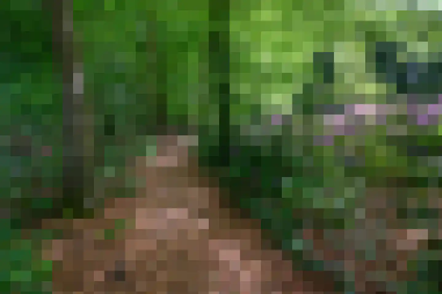 Doonweg 7 Eerbeek thumbnail 66