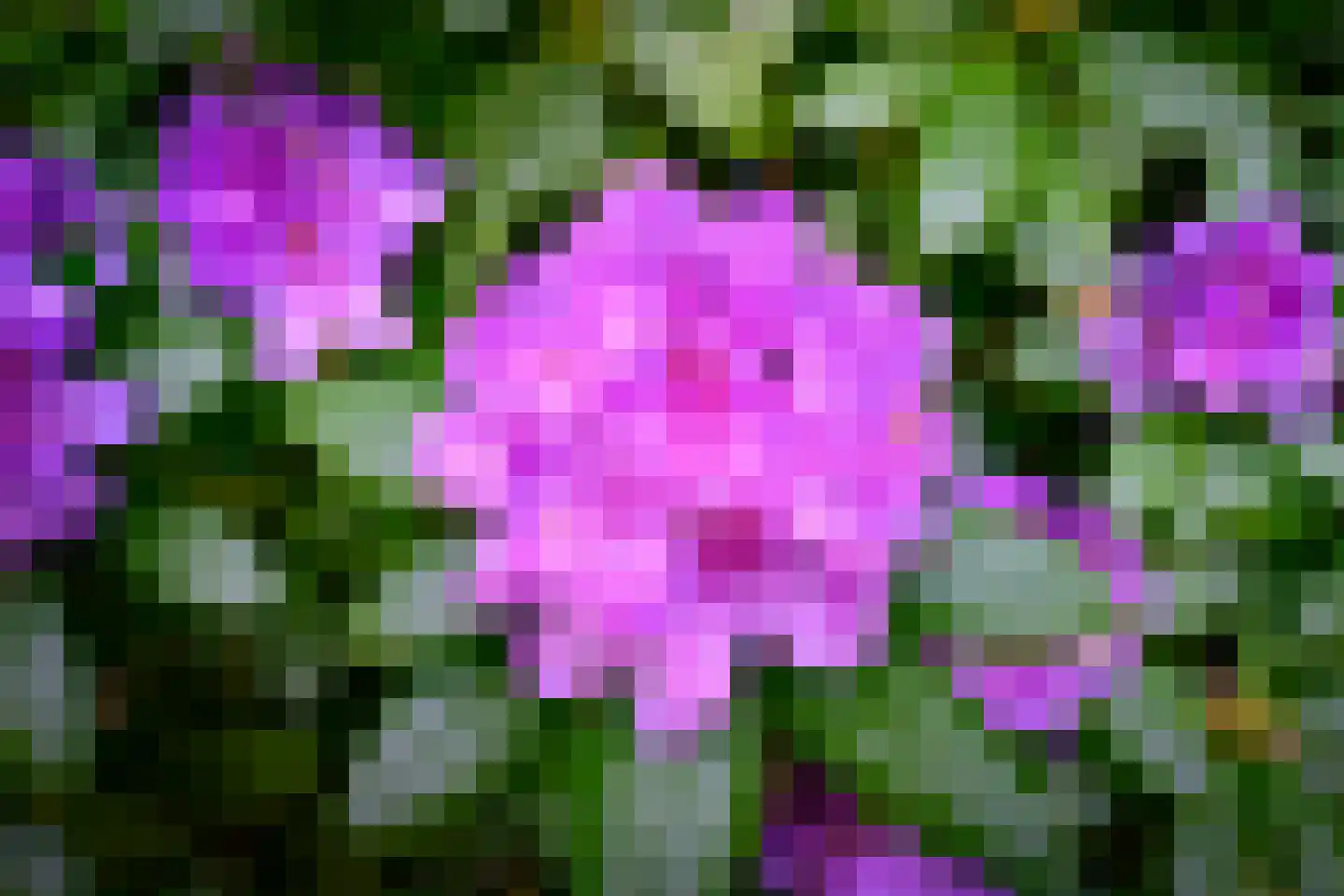 Doonweg 7 Eerbeek thumbnail 67