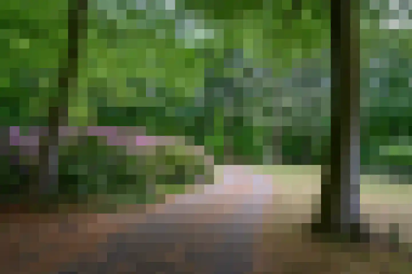 Doonweg 7 Eerbeek thumbnail 68
