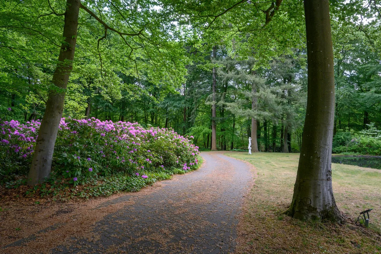 Doonweg 7 Eerbeek thumbnail 68