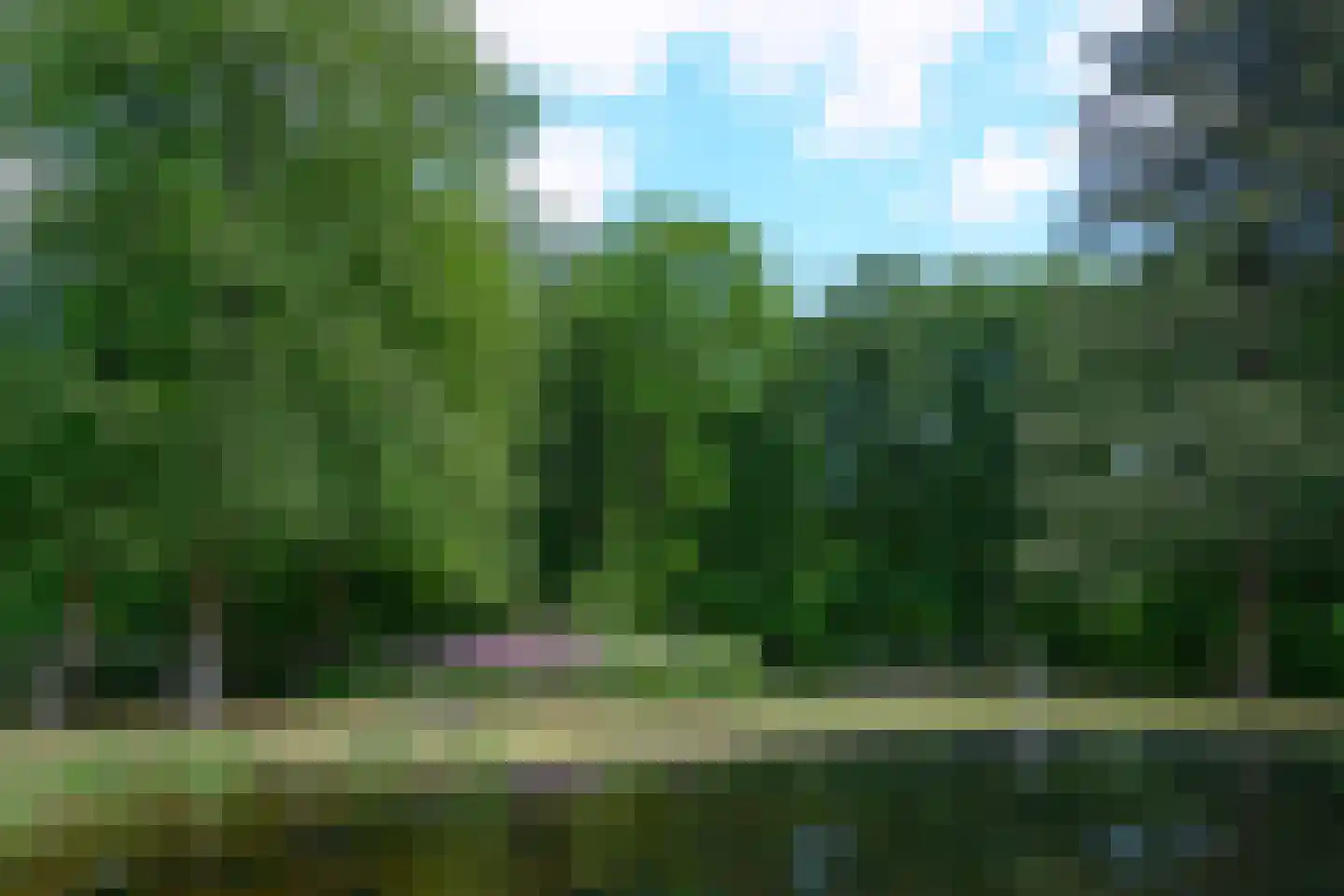 Doonweg 7 Eerbeek thumbnail 69