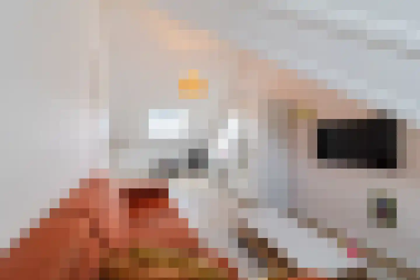 Doorkijk 10 Maassluis thumbnail 39