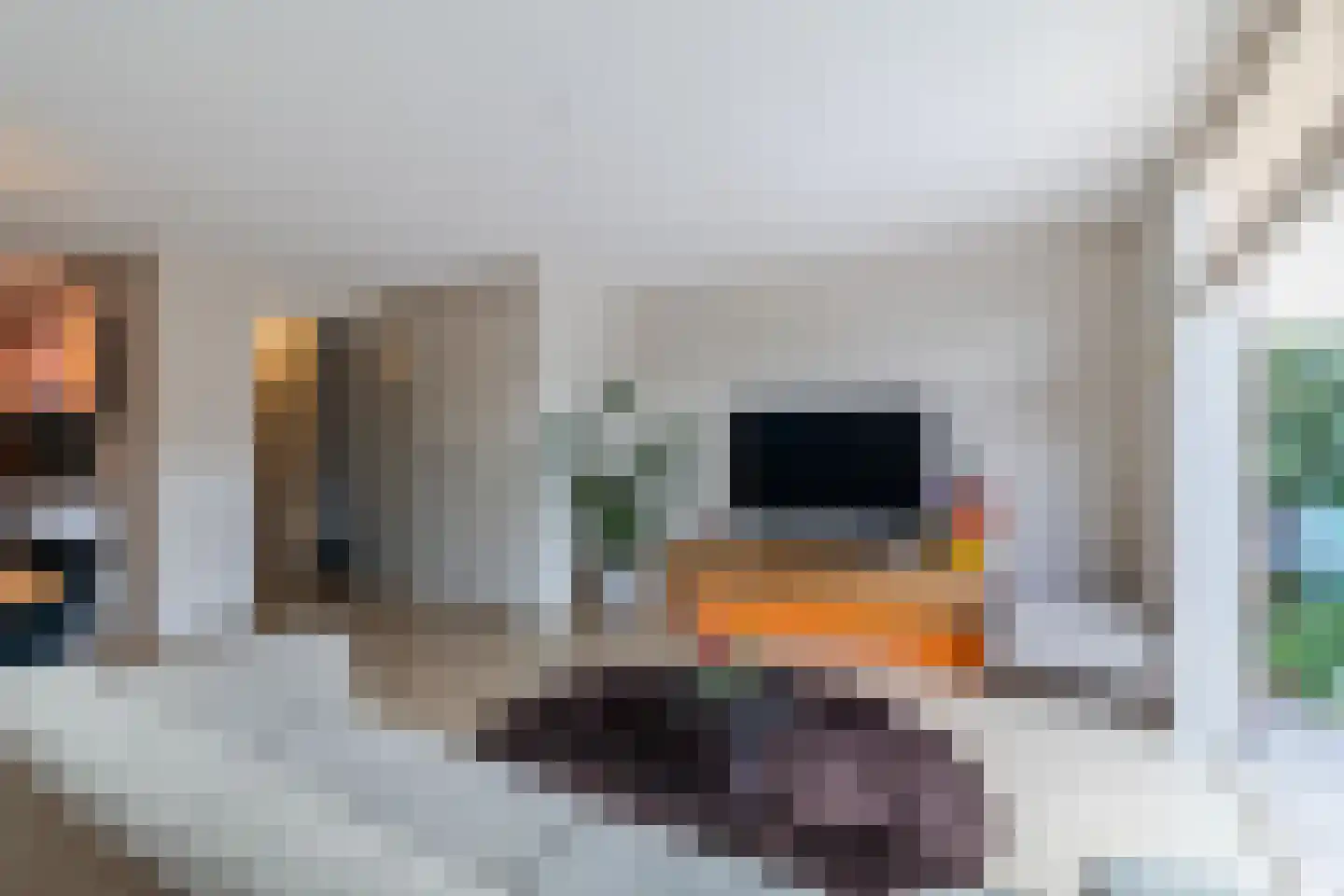 Doorkijk 10 Maassluis thumbnail 9