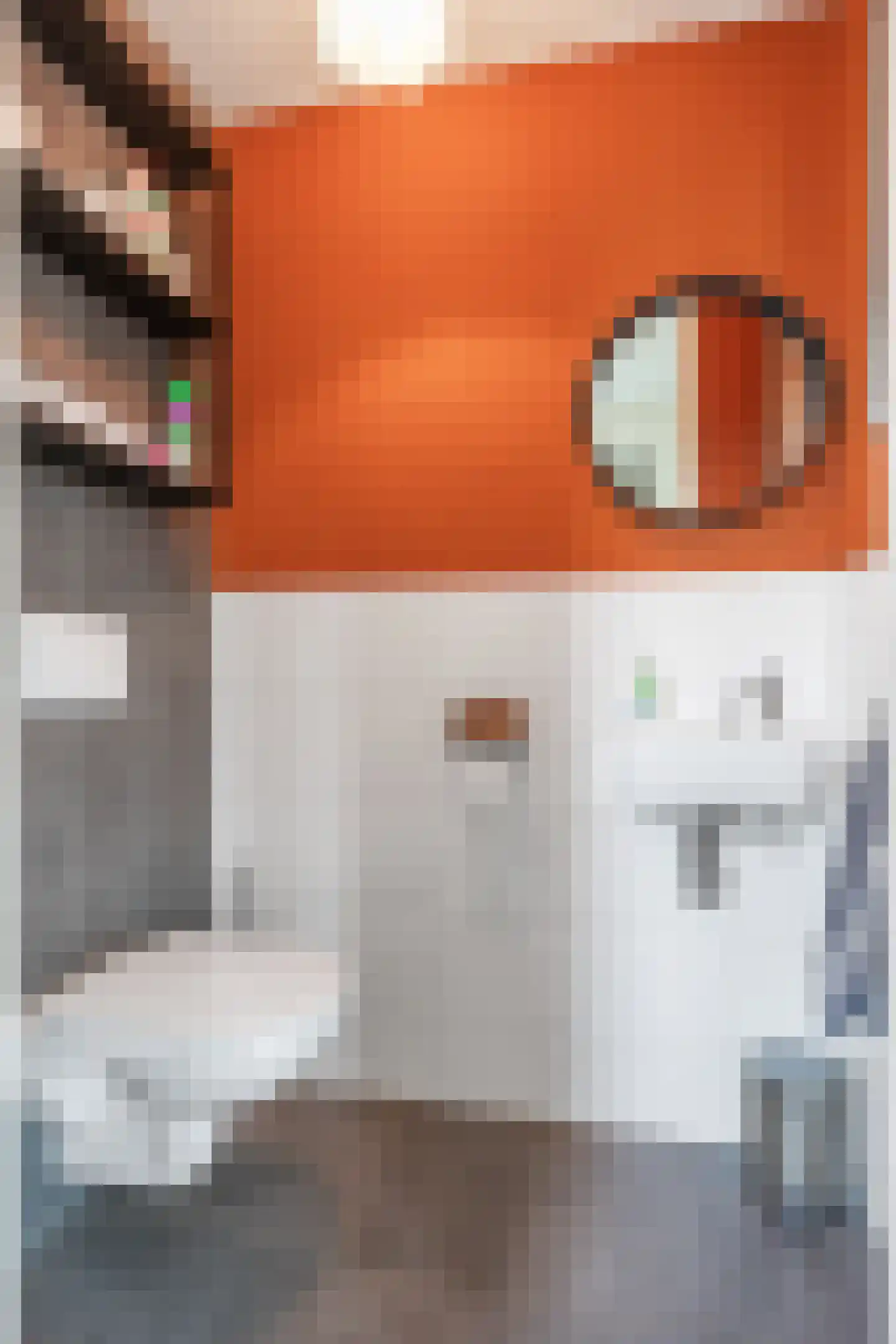 Doorloper 10 Sappemeer thumbnail 13