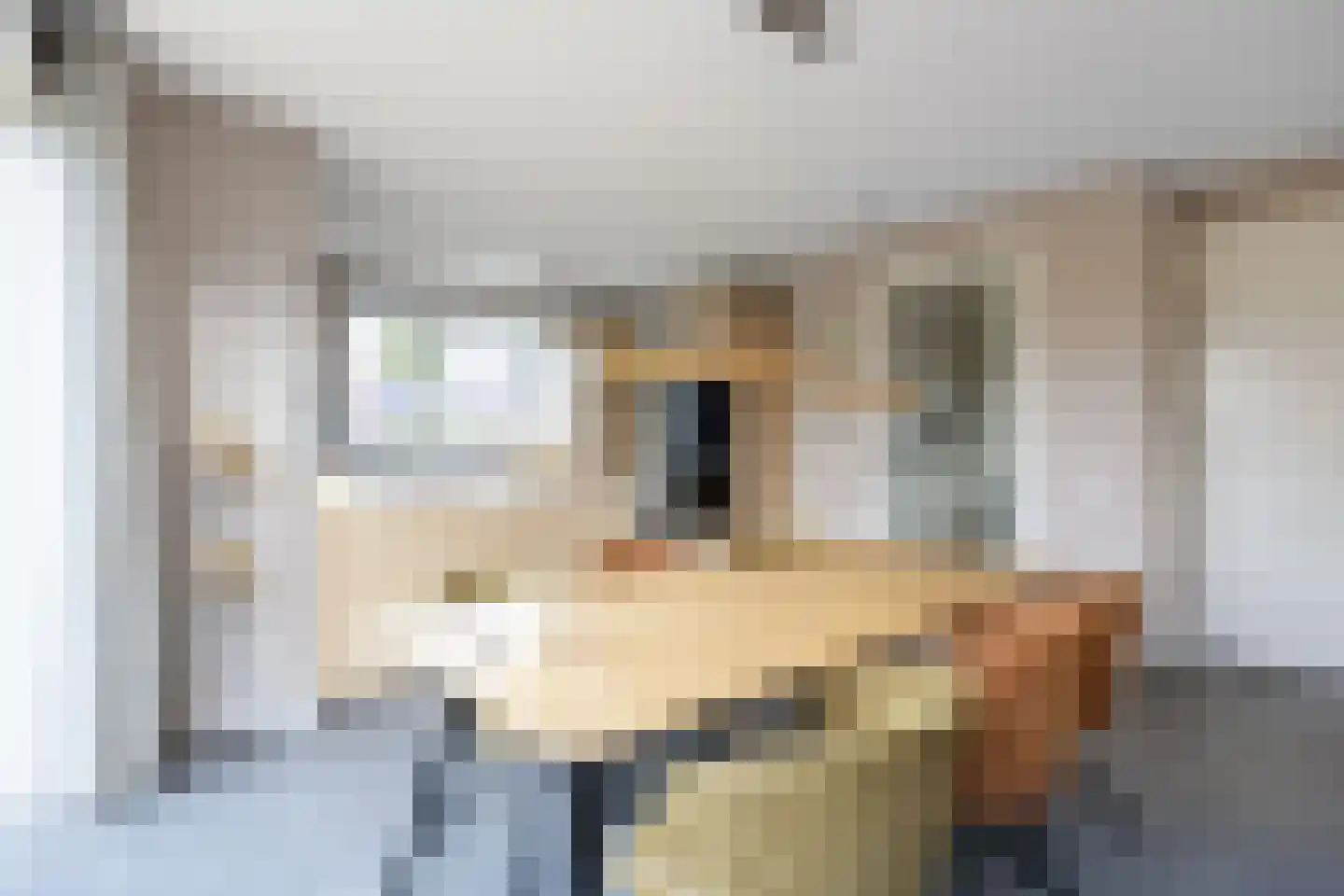 Doorloper 10 Sappemeer thumbnail 21
