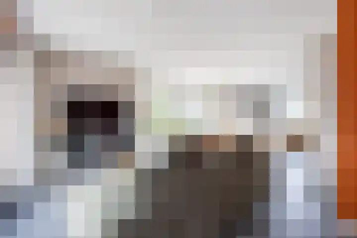 Doorloper 10 Sappemeer thumbnail 23