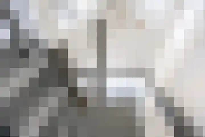 Doorloper 10 Sappemeer thumbnail 34