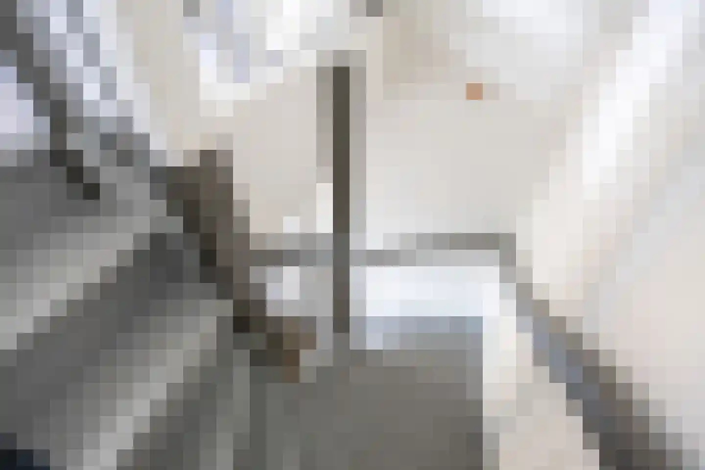 Doorloper 10 Sappemeer thumbnail 34