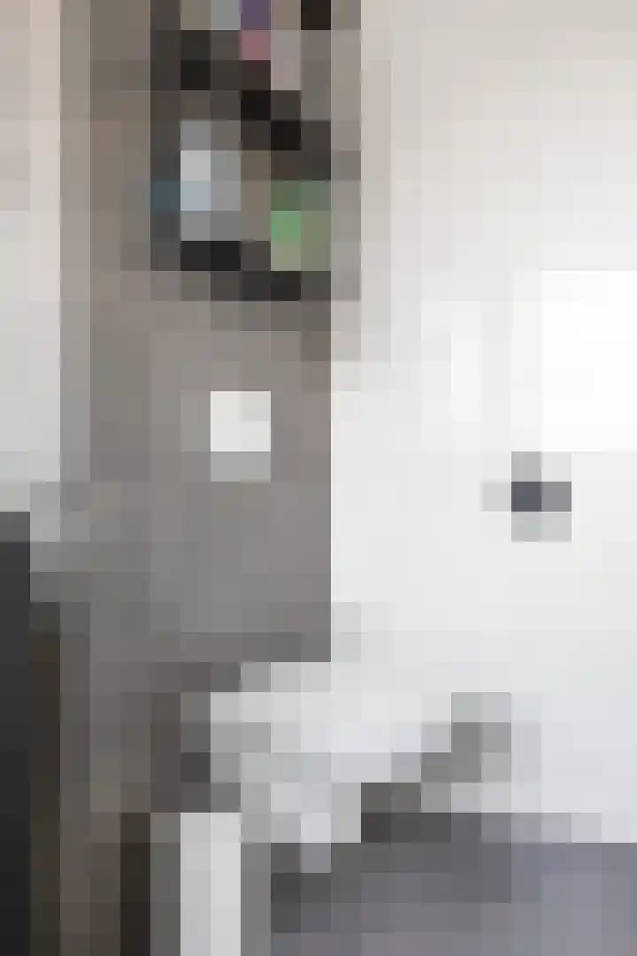 Doorloper 10 Sappemeer thumbnail 48