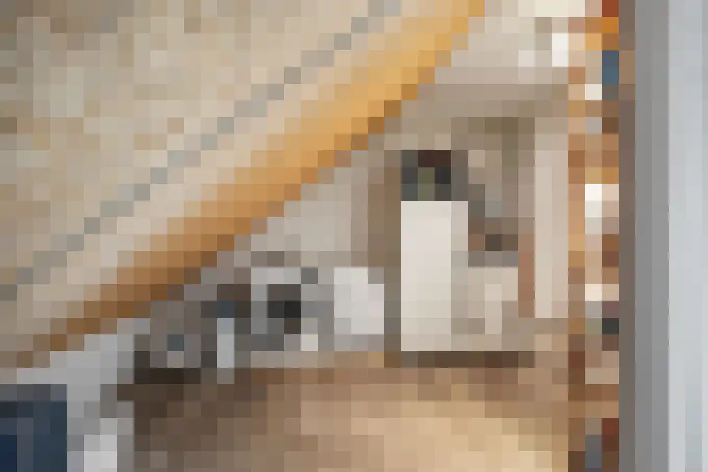 Doorloper 10 Sappemeer thumbnail 51