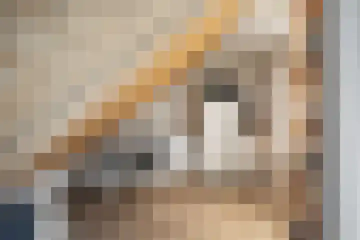 Doorloper 10 Sappemeer thumbnail 51