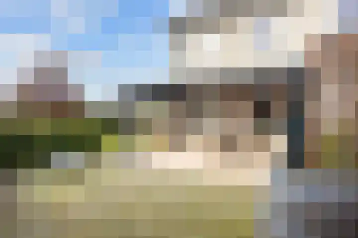 Doorloper 10 Sappemeer thumbnail 57