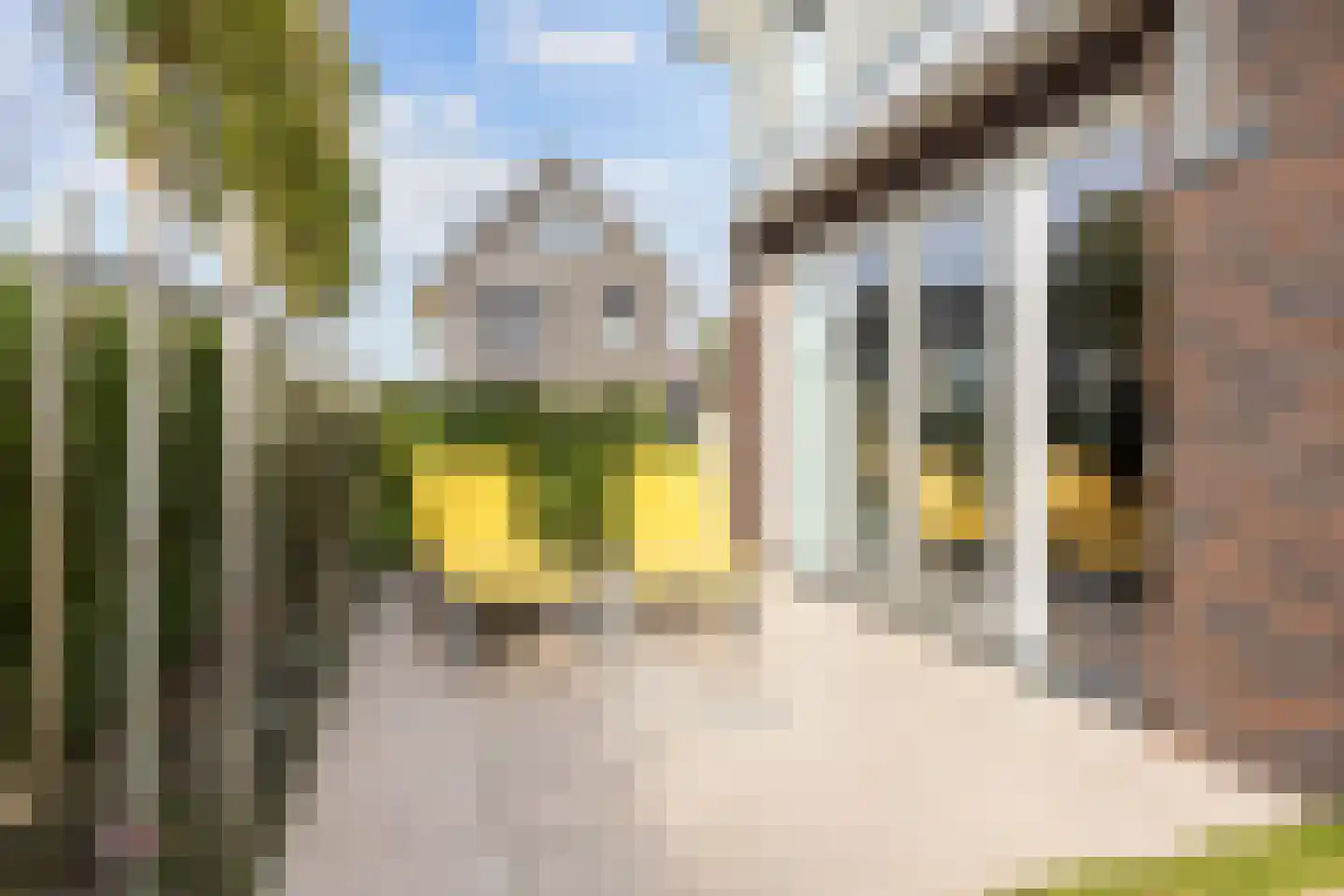 Doorloper 10 Sappemeer thumbnail 64