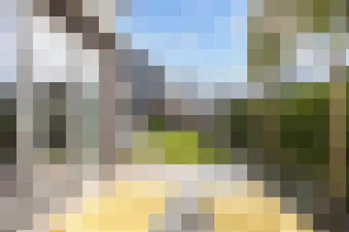 Doorloper 10 Sappemeer thumbnail 65