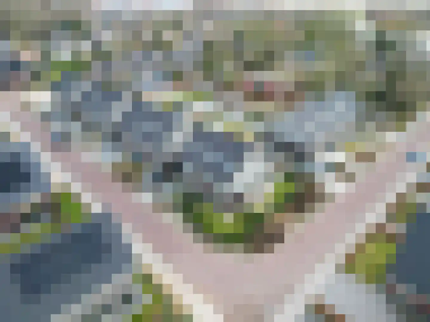 Doorloper 10 Sappemeer thumbnail 69
