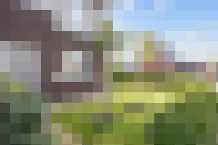 Doorloper 10 Sappemeer thumbnail 7