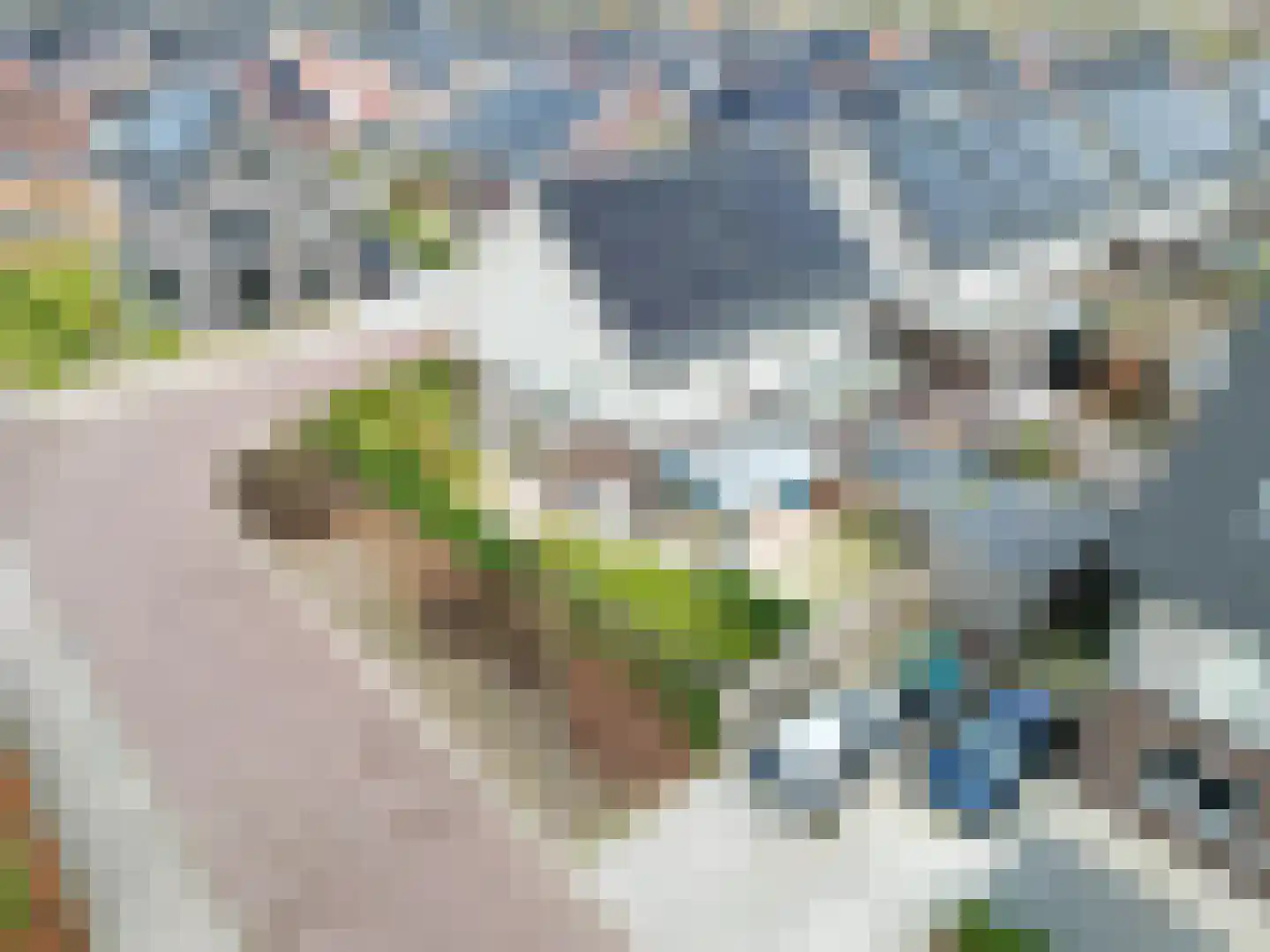 Doorloper 10 Sappemeer thumbnail 72