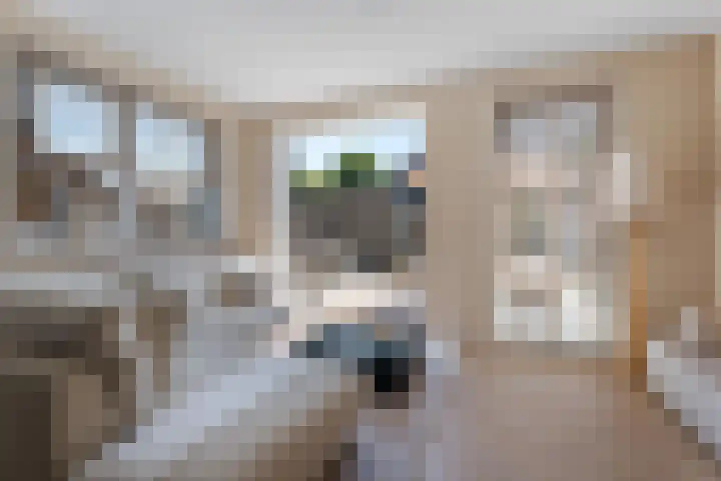 Doorloper 18 Sappemeer thumbnail 13