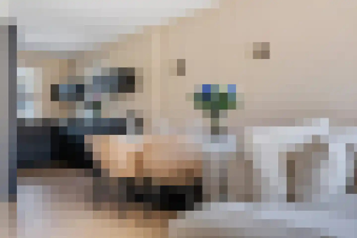 Doorloper 18 Sappemeer thumbnail 16