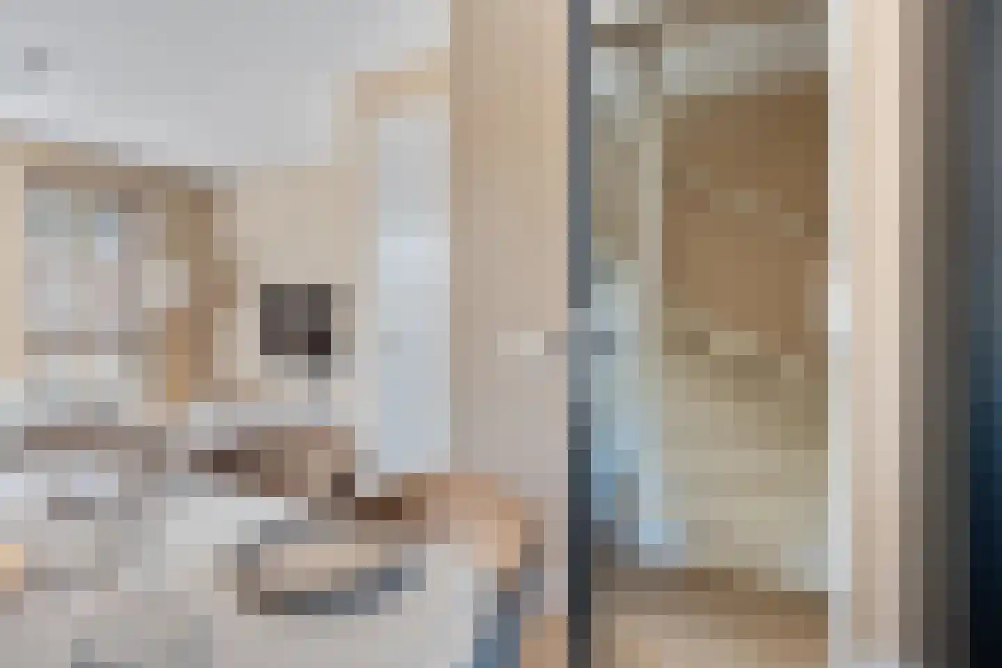 Doorloper 18 Sappemeer thumbnail 17
